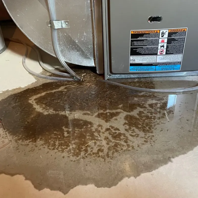 Pipe Burst and Leak Restoration in Royalton, PA