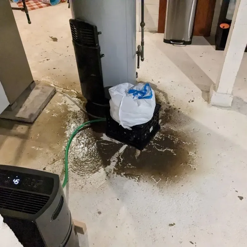 Sewage Backup Cleanup Service in Royalton, PA